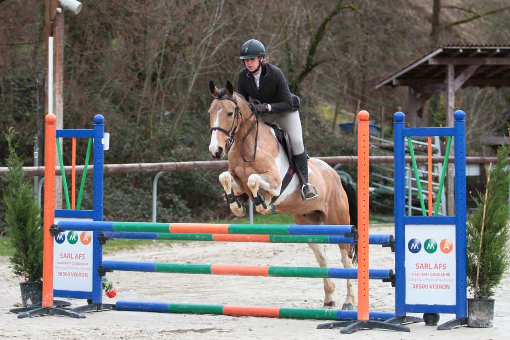 Cheval sautant un obstacle oxer