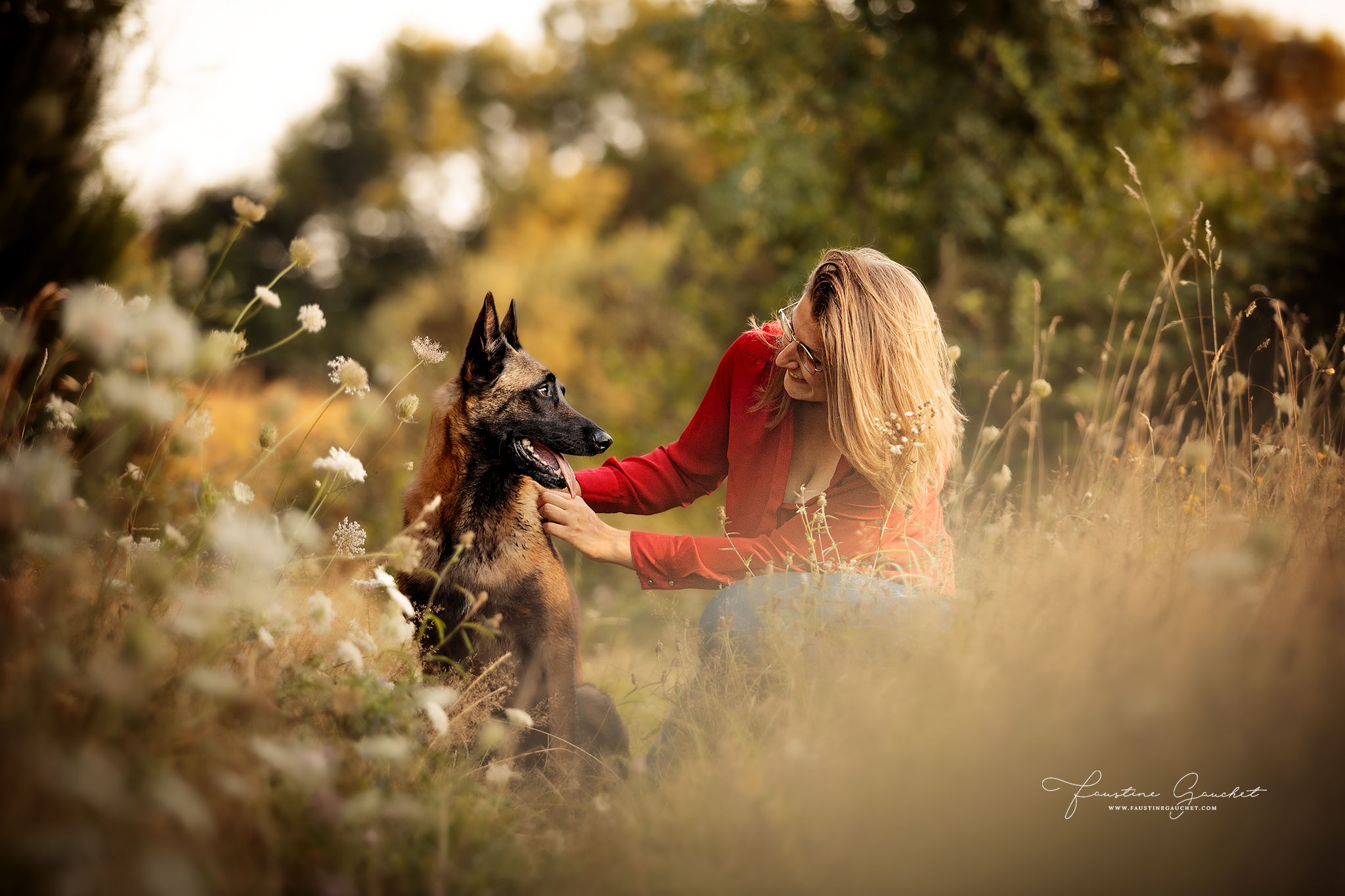 moment complice chien malinois et femme, séance photo chien et maitre
