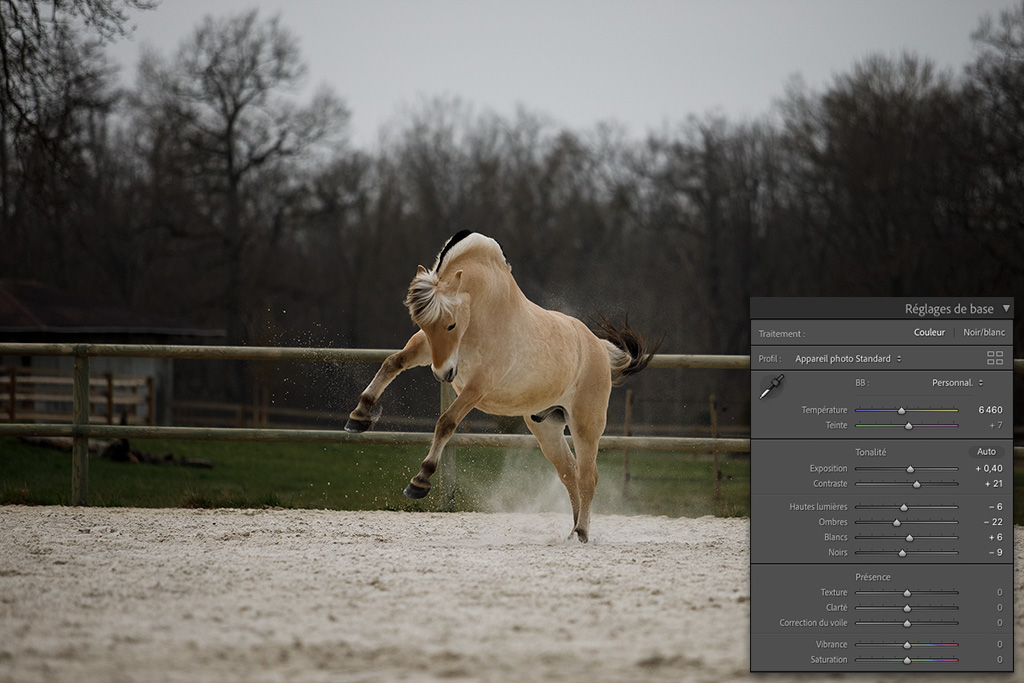 étapes d'une retouche photo correction de bases sur lightroom