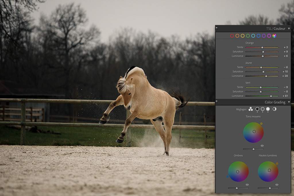 étapes d'une retouche photo les couleurs sur lightroom