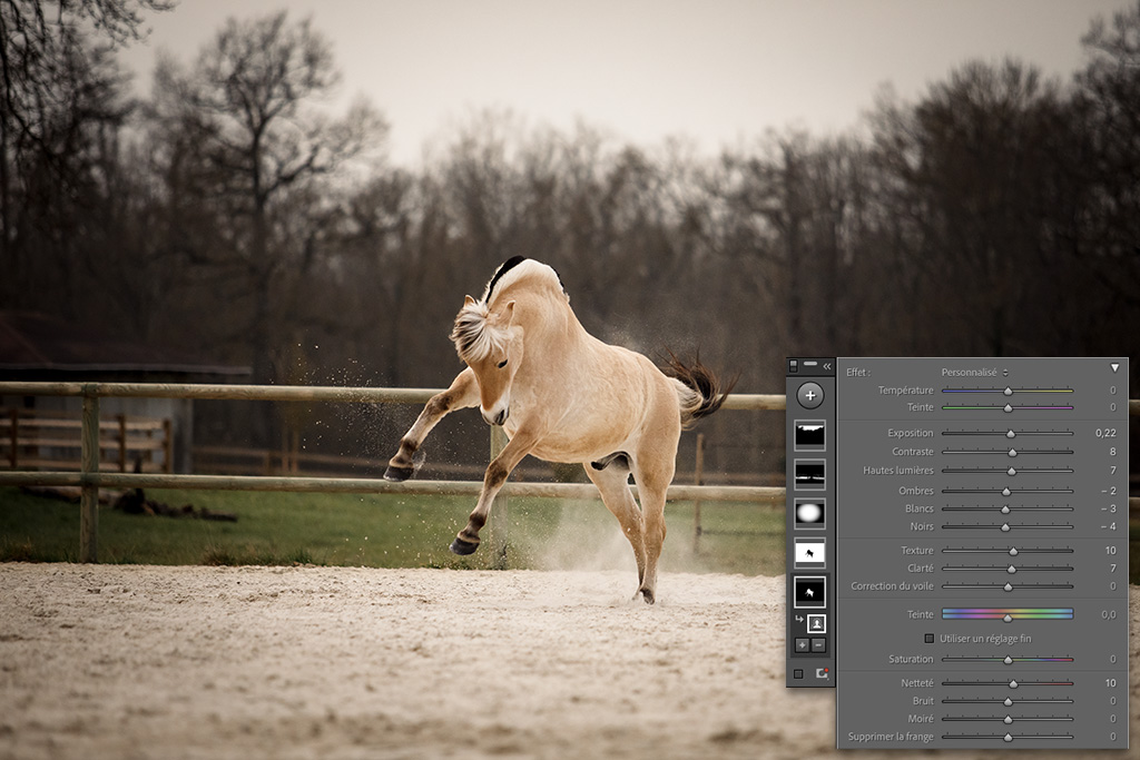 retoucher une photo équine avec les masquages sur lightroom