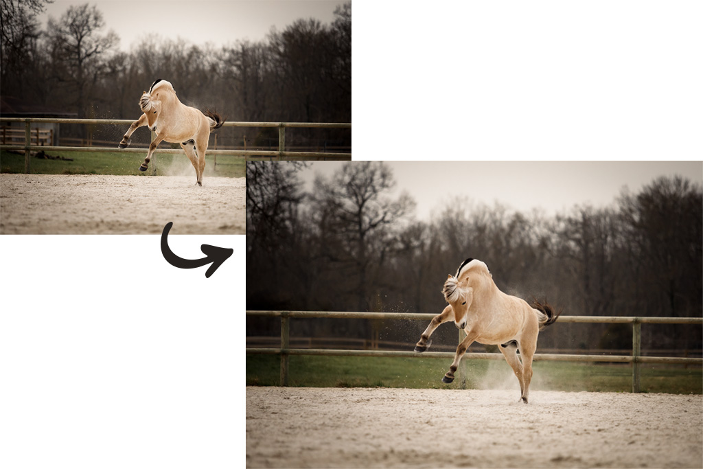 supprimer un élément genant avec Photoshop