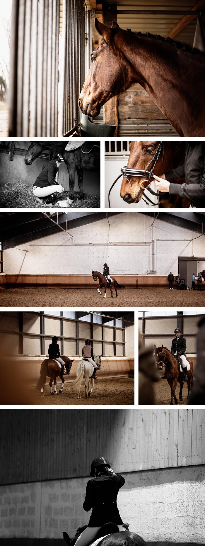 reportage compétition équestre - dressage du cheval